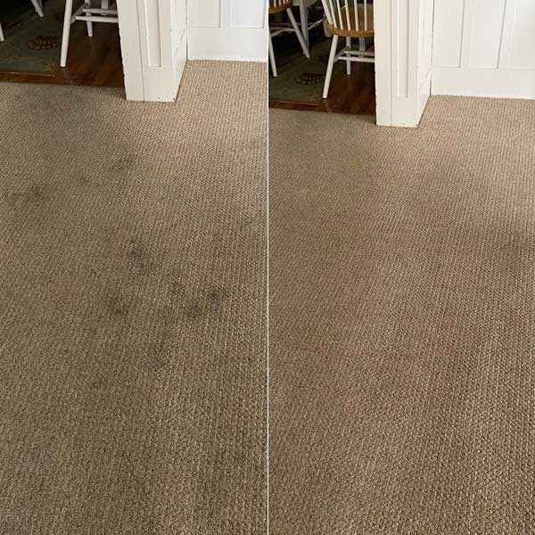 Professional Carpet Cleaning in Cape May County